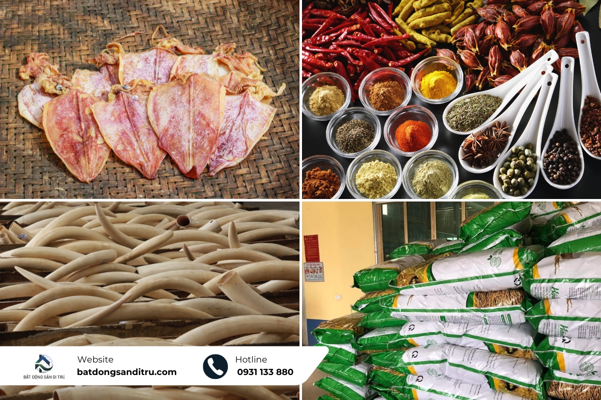Các thực phẩm sống, hạt gia vị, phân bón,... đều không được mang qua Mỹ 